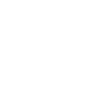 ICON1
