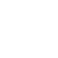 ICON1